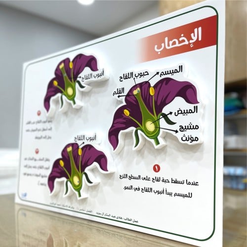 لوحة متعليمية جسمة ( الاخصاب )