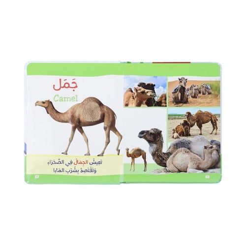 كتاب مونتيسوري الاول - الحيوانات باللمس