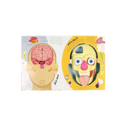 كتاب جسم الإنسان من الخارج إلى الداخل DK