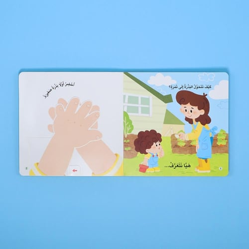 مجموعة كتب تفاعلية: المكتشف الصغير - مفاهيم الغذاء