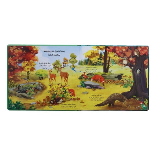 كتاب مملكة الحيوان: الغابة