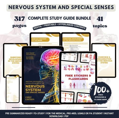 Nervous System and Special Senses