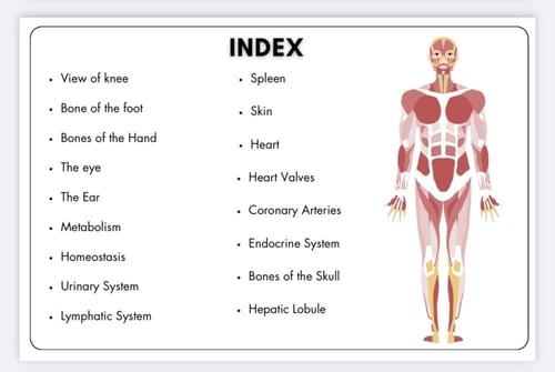 Anatomy and physiology-ملخص تشريح ووظائف الاعضاء