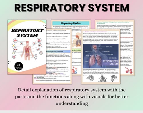 ملخص الجهاز التنفسي- Respiratory system