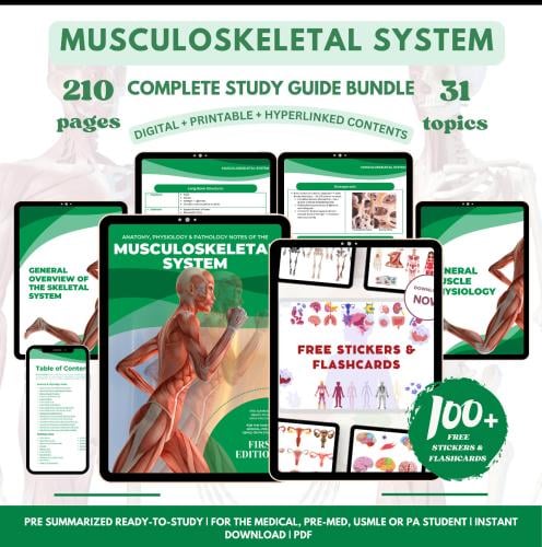 Musculoskeletal System - الجهاز العضلي الهيكلي
