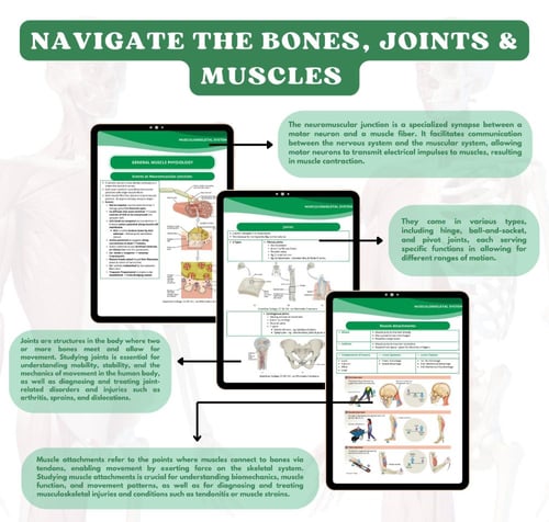 Musculoskeletal System - الجهاز العضلي الهيكلي