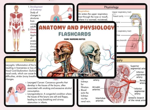 ملخص التشريح مترجم -anatomy and physiology