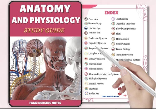 Anatomy and physiology ملخص