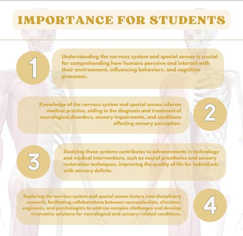 Nervous System and Special Senses