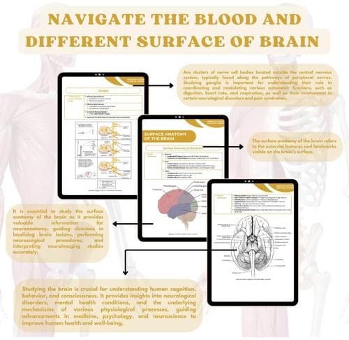Nervous System and Special Senses