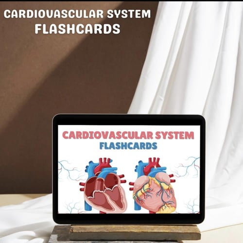 Cardiovascular ملخص الجهاز القلبي الوعائي