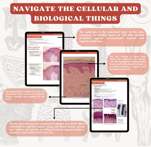 Clinical Dermatology - ملخص الجلدية