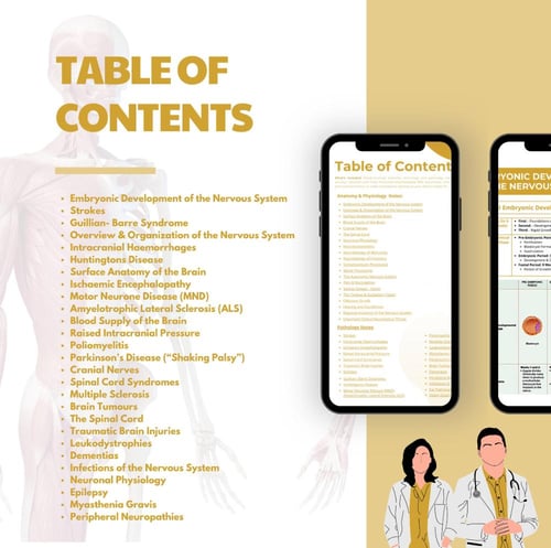 Nervous System and Special Senses