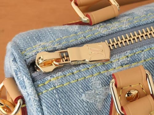 LV By The Pool Nano Speedy