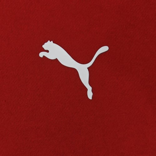 Ac mailan hoodie 2024/2025