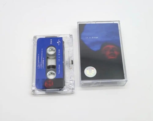 Troy sivan in a dream tape