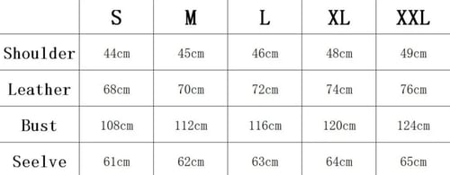 The north face jacket 2023