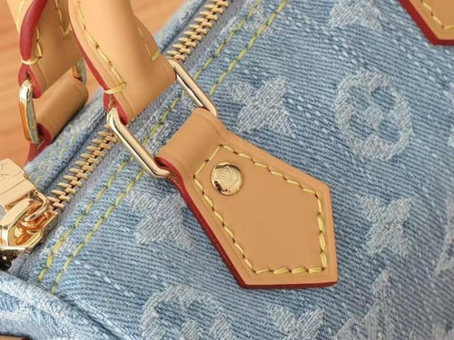 LV By The Pool Nano Speedy