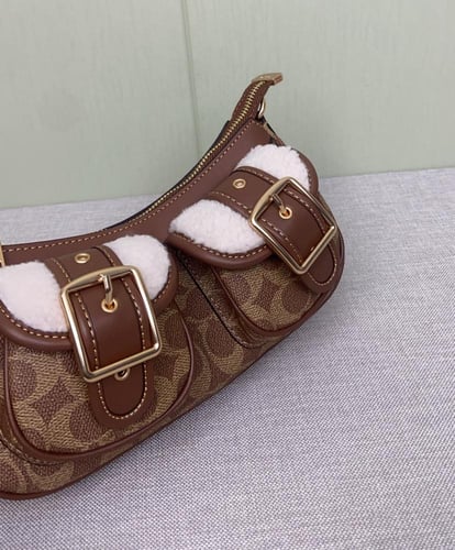 Coach Ashton Bag In Signature Canvas