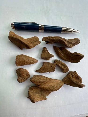 مروكي سوبر ( كسر مباخر )