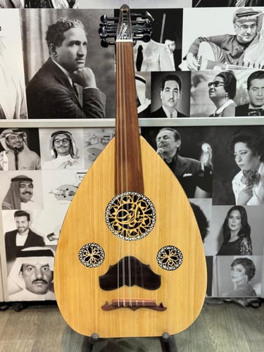 عود صوت الوتر اقتصادي
