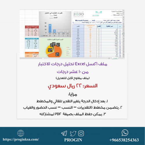 ملف تحليل نتائج الاختبار من 10 درجات (Excel)