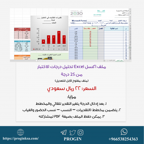ملف تحليل نتائج الإختبار من 25 درجة (Excel)