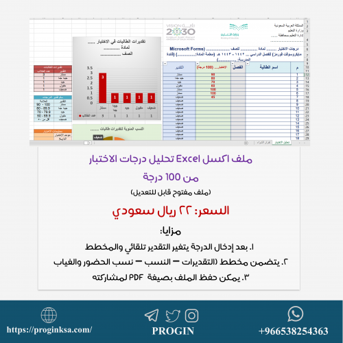 ملف تحليل نتائج الإختبار من 100 درجة (Excel)