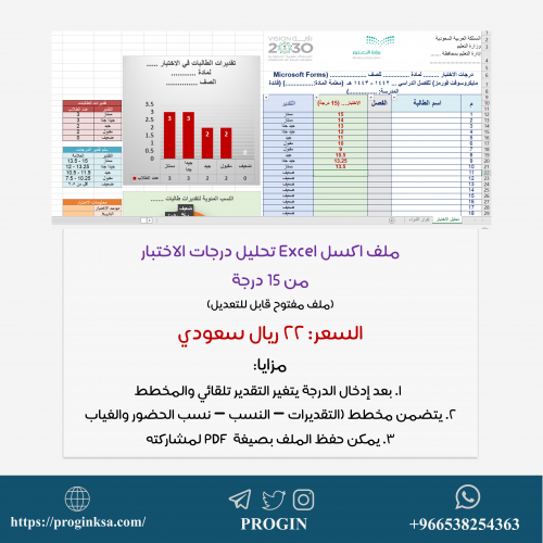 ملف تحليل نتائج الإختبار من 15 درجة (Excel)