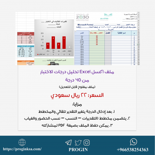 ملف تحليل نتائج الإختبار من 40 درجة (Excel)