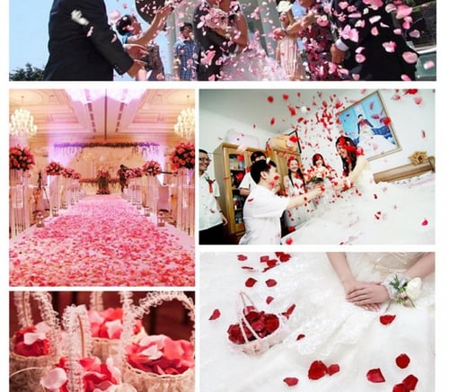 ورد مجفف لون أحمر