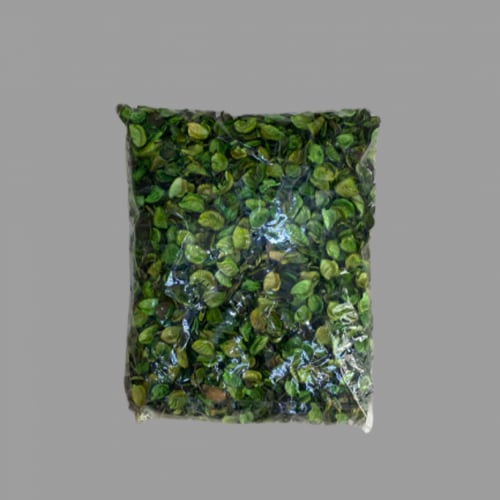 ورد مجفف لون أحمر