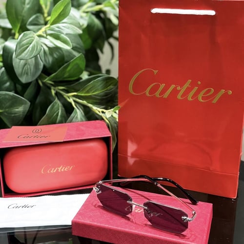 نظارة كارتير مع الملحقات