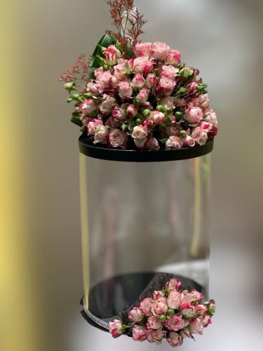 بوكس كيك & وورد