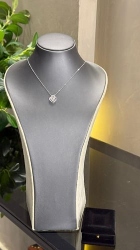 باقة ورد & قلادة