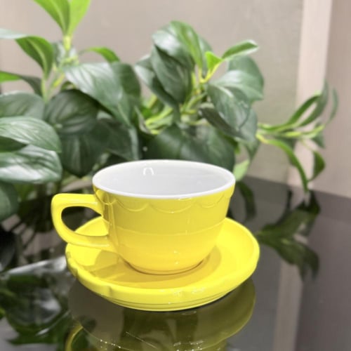 كوب وصحن أنيق