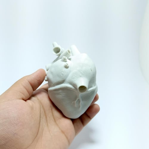 قلب الإنسان (مطبوع)