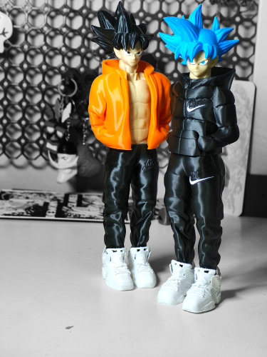 فيقر غوكو (دراغون بول)