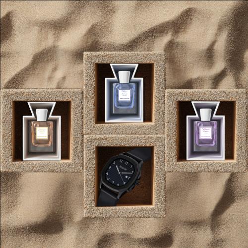 مجموعة الصفوة (ايليت)