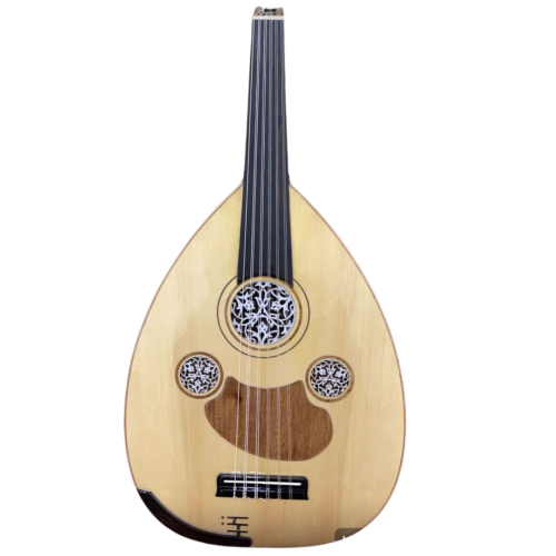 عود الكتريك كهربائي مقفل