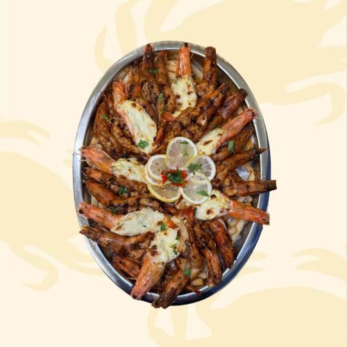 سخان ثيرمادور مشوي