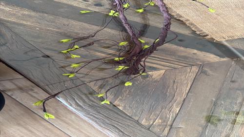 اغصان بني مع ورق