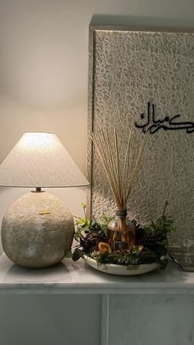 صحن تنسيق الدفيوزر