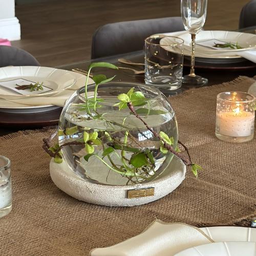 فازه -مع قاعده