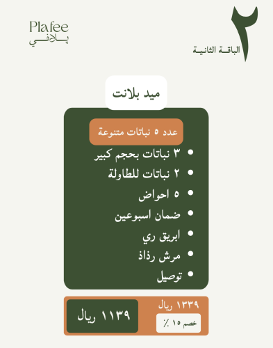باقة ميد بلانت المنزلية