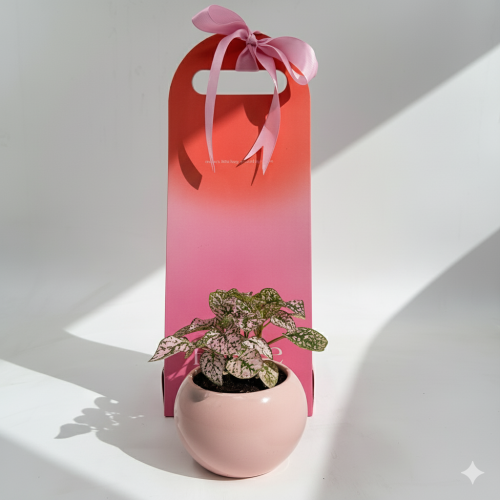 هولدر وردي مع هايبوستيس مركن ملون وردي