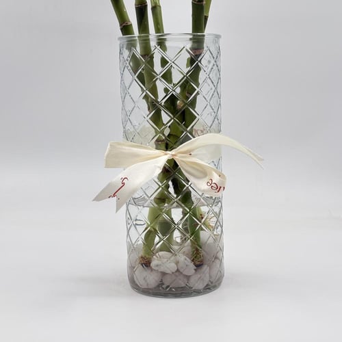 فازة مع مجموعة من البامبو(5)