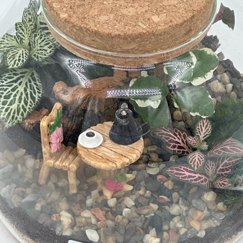 تيراريوم وسط