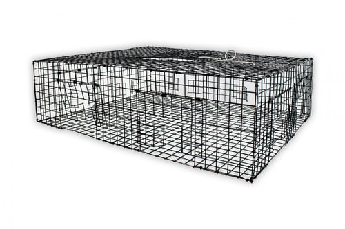 مصيدة حديدية للحمام