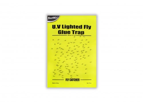 بستوين لوح لاصق اصفر لمكافحة الحشرات الطائرة 30.5*...